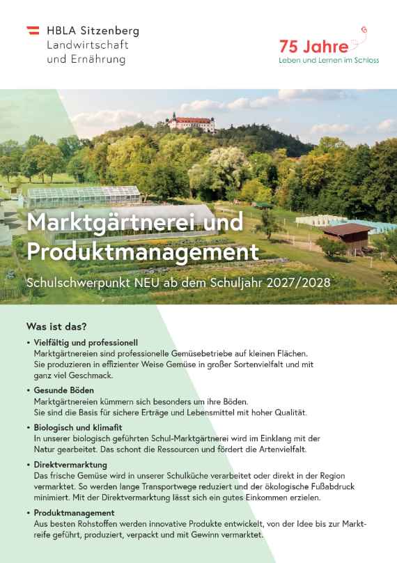 schwerpunkt