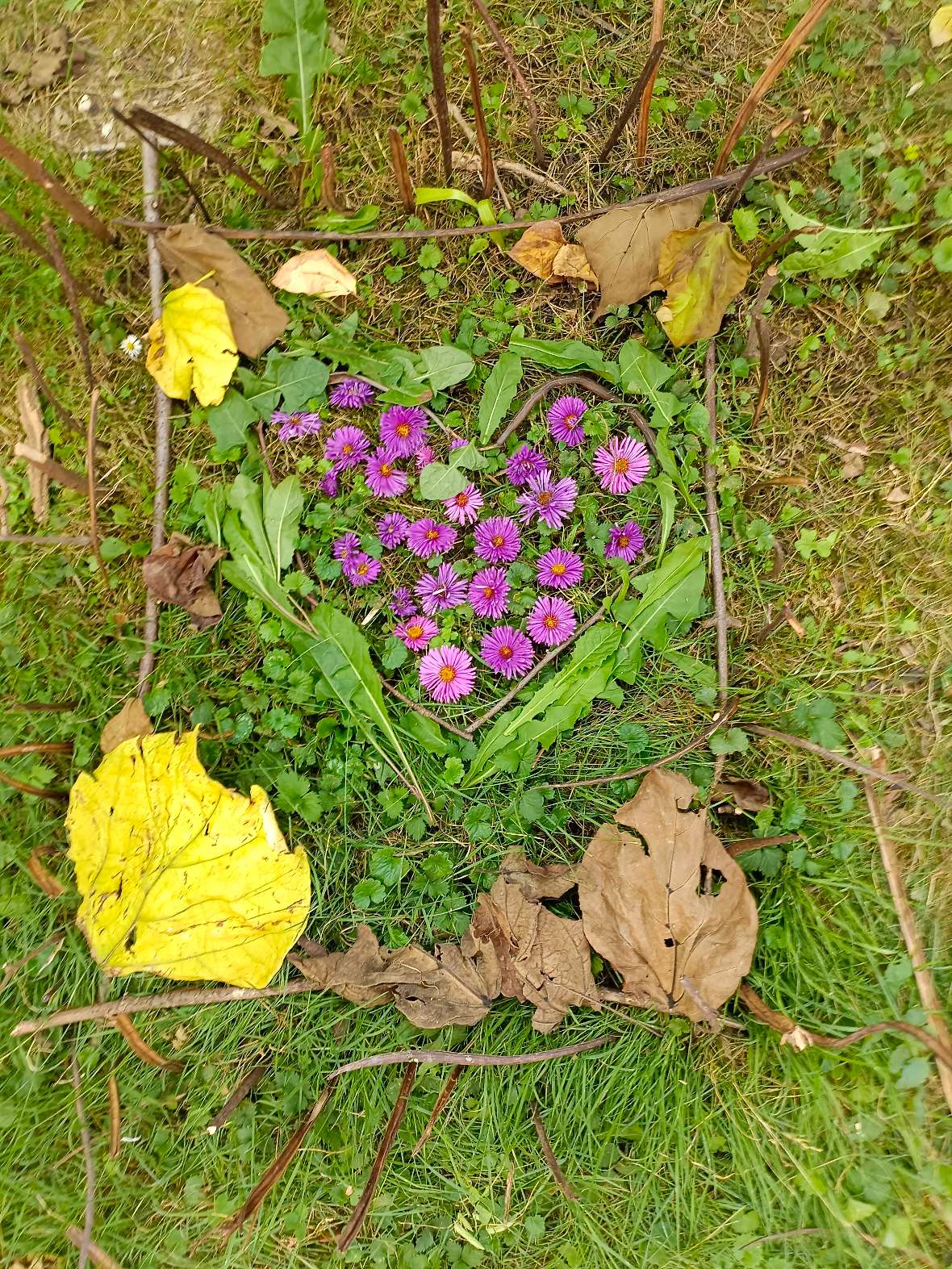 Outdoortag