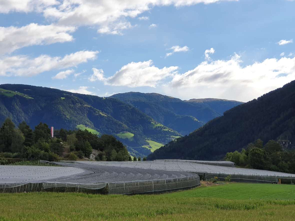 Projektwoche Italien